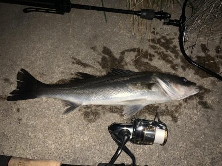 イナッコボイル