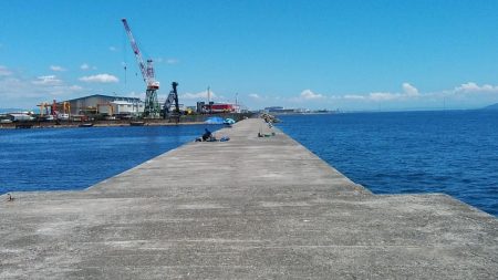 播磨新島のキス調査