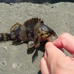 雨の合間を縫って
