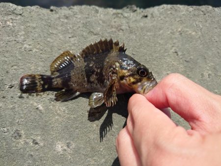 雨の合間を縫って