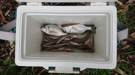 小物釣りの合間に