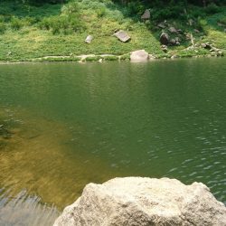 お昼間前に50UPをゲット!