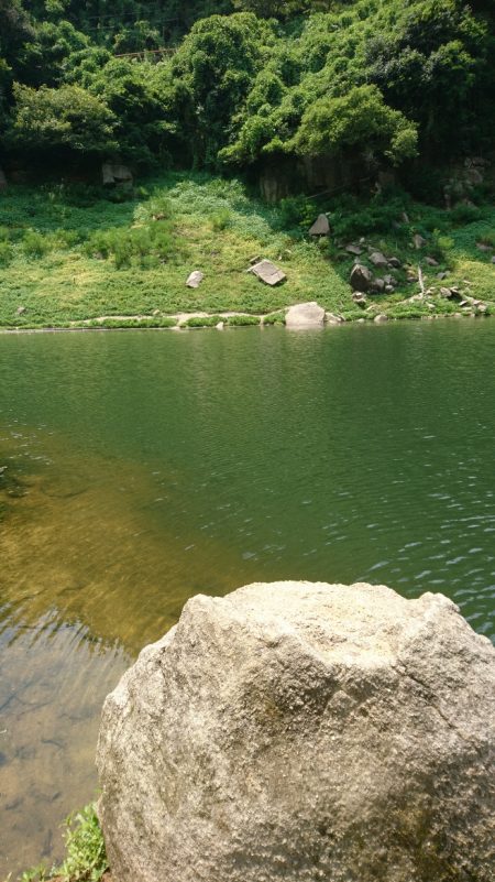 お昼間前に50UPをゲット!