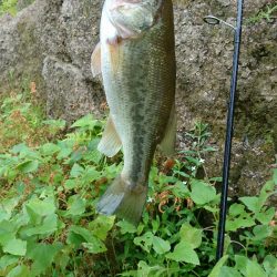 午前中の数釣り！