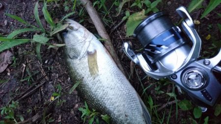 ランガンで計13匹