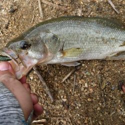 朝からハイプレッシャー！！