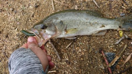 朝からハイプレッシャー！！