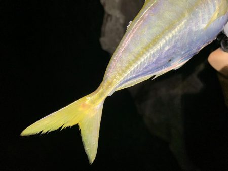 ゲキ渋フロートアジング！