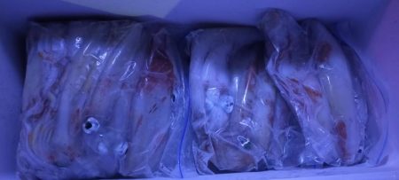 シロイカぼちぼち