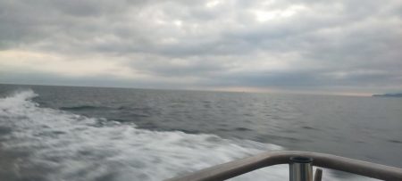 渋くなってきた