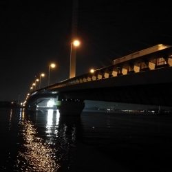 2021/08/02 南港アジング