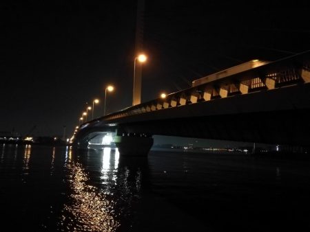 2021/08/02 南港アジング