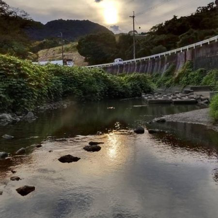 短時間チャビングでカワムツ好調でした！