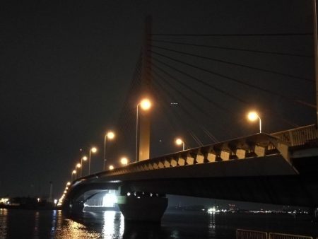 2021/08/10 南港ヘチ釣り