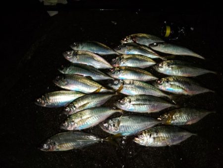 フロートゲーム～