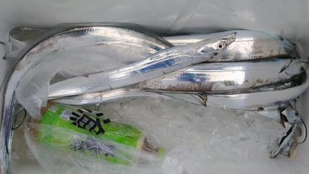 泉州丸 釣果