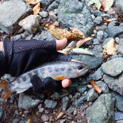 禁漁期間のその前に