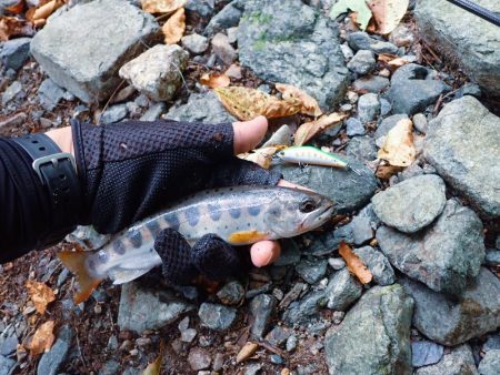 禁漁期間のその前に