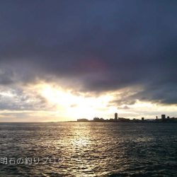 グレチヌ合わせて9目釣り！