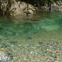 禁漁期前にプチラッシュ