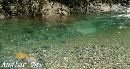 禁漁期前にプチラッシュ