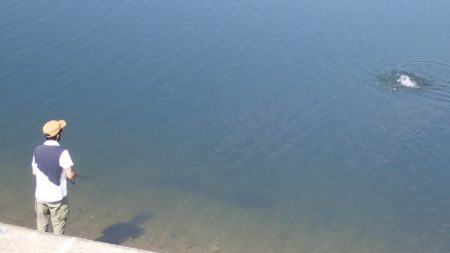 フィッシングレイクたかみや 釣果