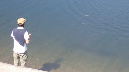 フィッシングレイクたかみや 釣果