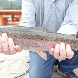 フィッシングレイクたかみや 釣果