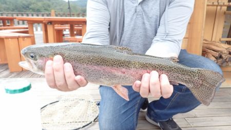 フィッシングレイクたかみや 釣果