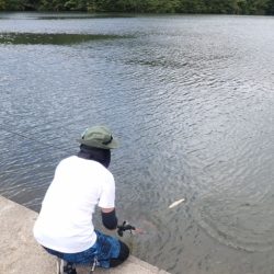 フィッシングレイクたかみや 釣果