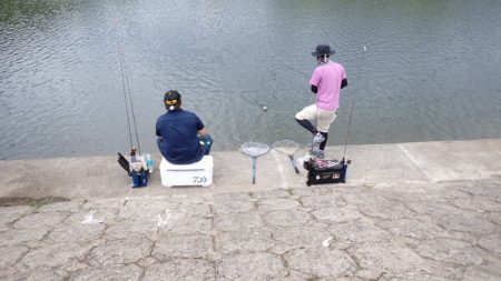 フィッシングレイクたかみや 釣果