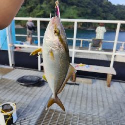 もっといけたかなぁ。