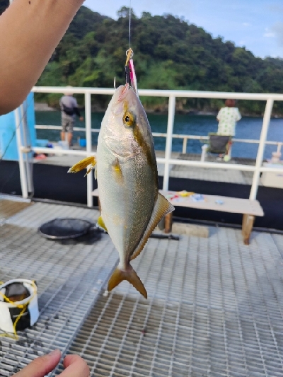 もっといけたかなぁ。