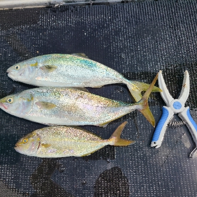 もっといけたかなぁ。