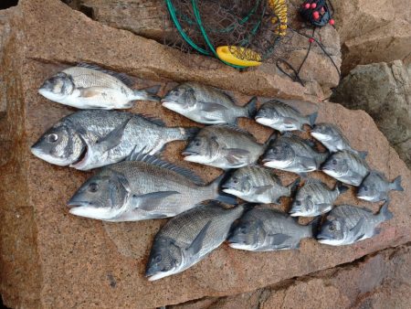 雨の合間にフカセ