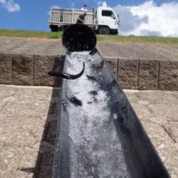 フィッシングレイクたかみや 釣果