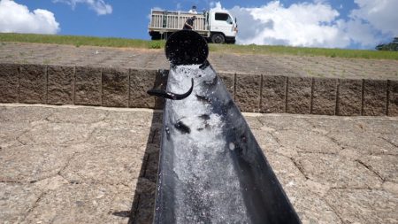 フィッシングレイクたかみや 釣果