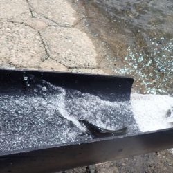 フィッシングレイクたかみや 釣果