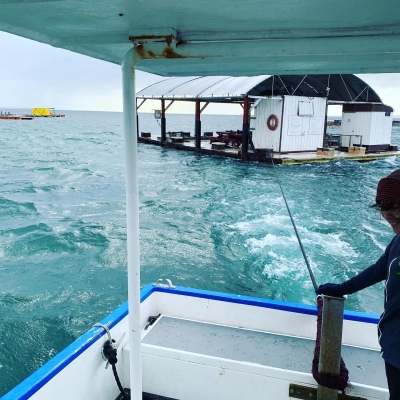 本部釣りイカダ 釣果