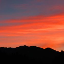 小菅トラウトガーデン 釣果