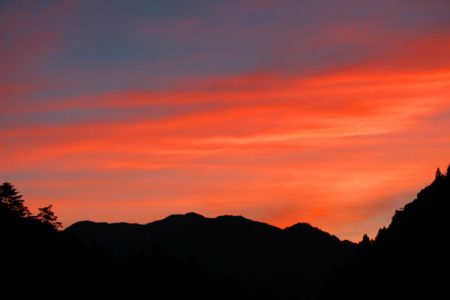 小菅トラウトガーデン 釣果