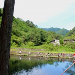 小菅トラウトガーデン 釣果
