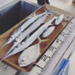 本部釣りイカダ 釣果