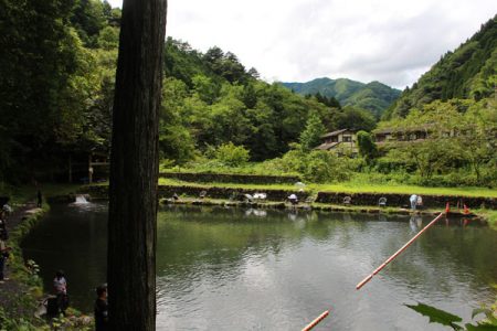 小菅トラウトガーデン 釣果