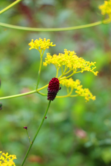 小菅トラウトガーデン 釣果