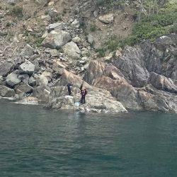 あみや渡船 釣果