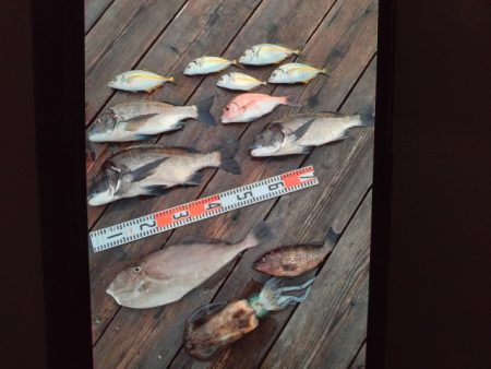 こかわ渡船　雅丸 釣果