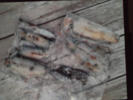 こかわ渡船　雅丸 釣果