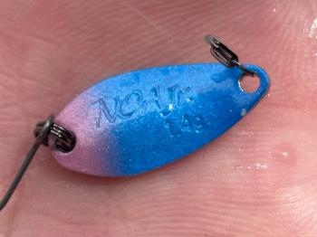 フィッシング サンクチュアリ 釣果