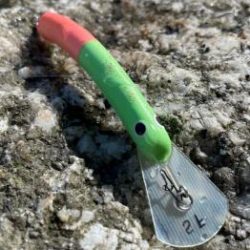 フィッシング サンクチュアリ 釣果